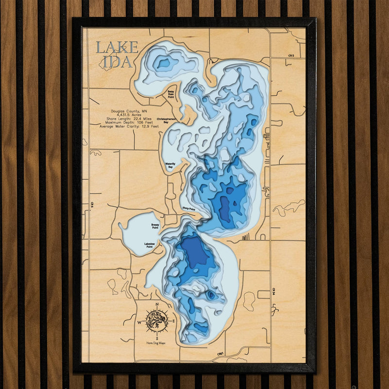 Load image into Gallery viewer, Lake Ida in Douglas County, Minnesota
