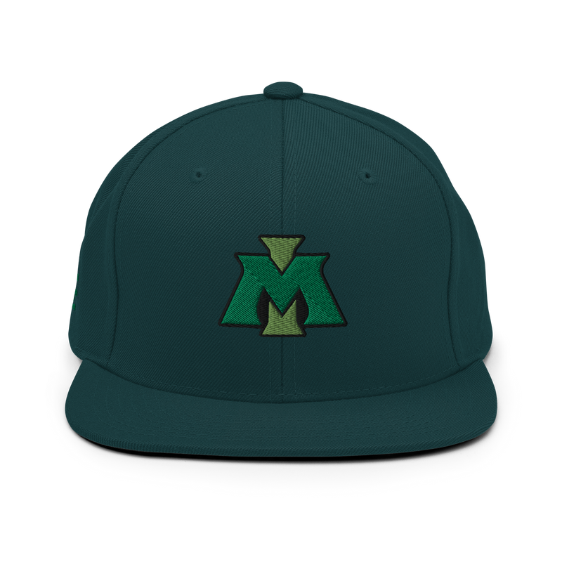 Load image into Gallery viewer, Michigan State &quot;MI&quot; Flatbill

