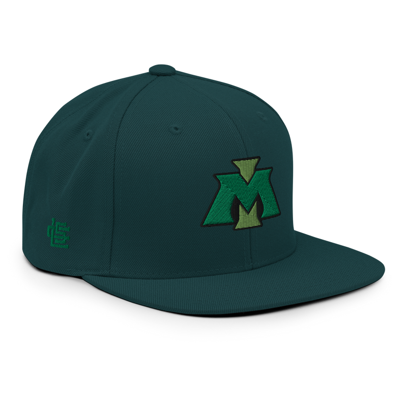 Load image into Gallery viewer, Michigan State &quot;MI&quot; Flatbill
