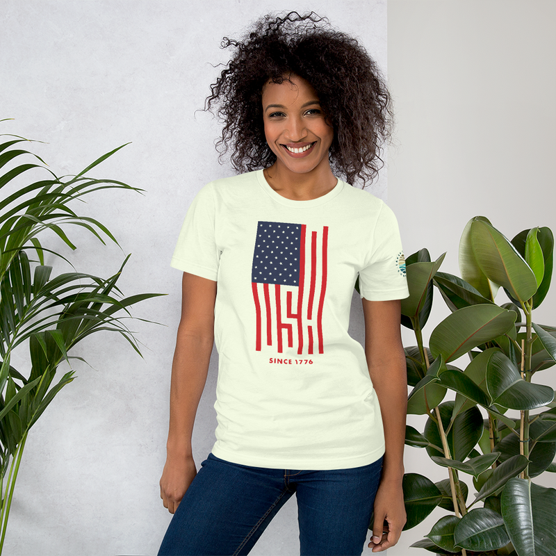 Load image into Gallery viewer, USA Tee (Unisex)
